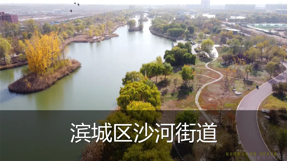 滨城区沙河街道