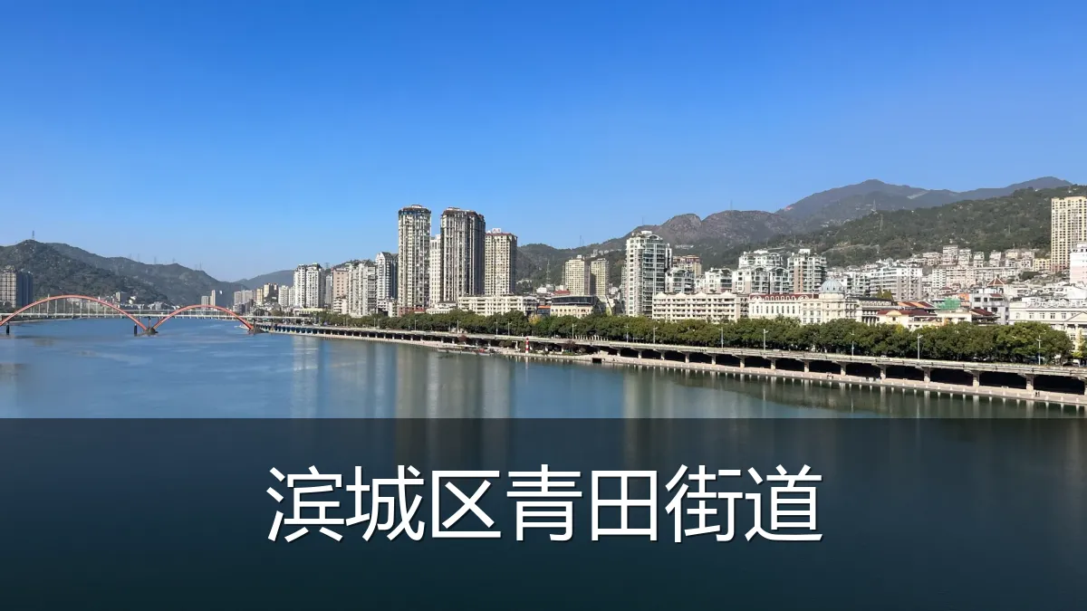 滨城区青田街道